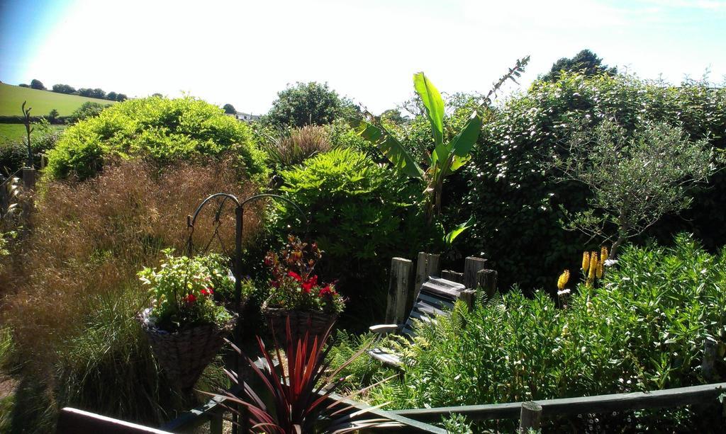 Tilly Cottage Kingsbridge  Exterior photo