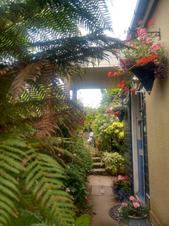 Tilly Cottage Kingsbridge  Exterior photo